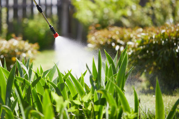 24/7 Emergency Mosquito Control experts in Acton, CA