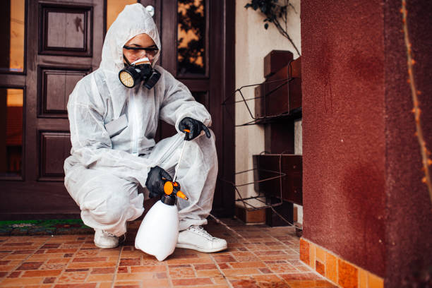 Reliable Mosquito Control contractor in Acton, CA by Show Me Pest Control